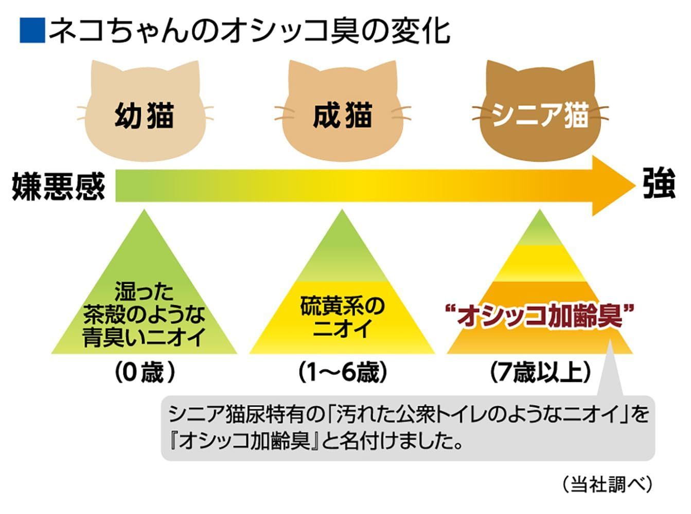 猫砂 紙タイプ