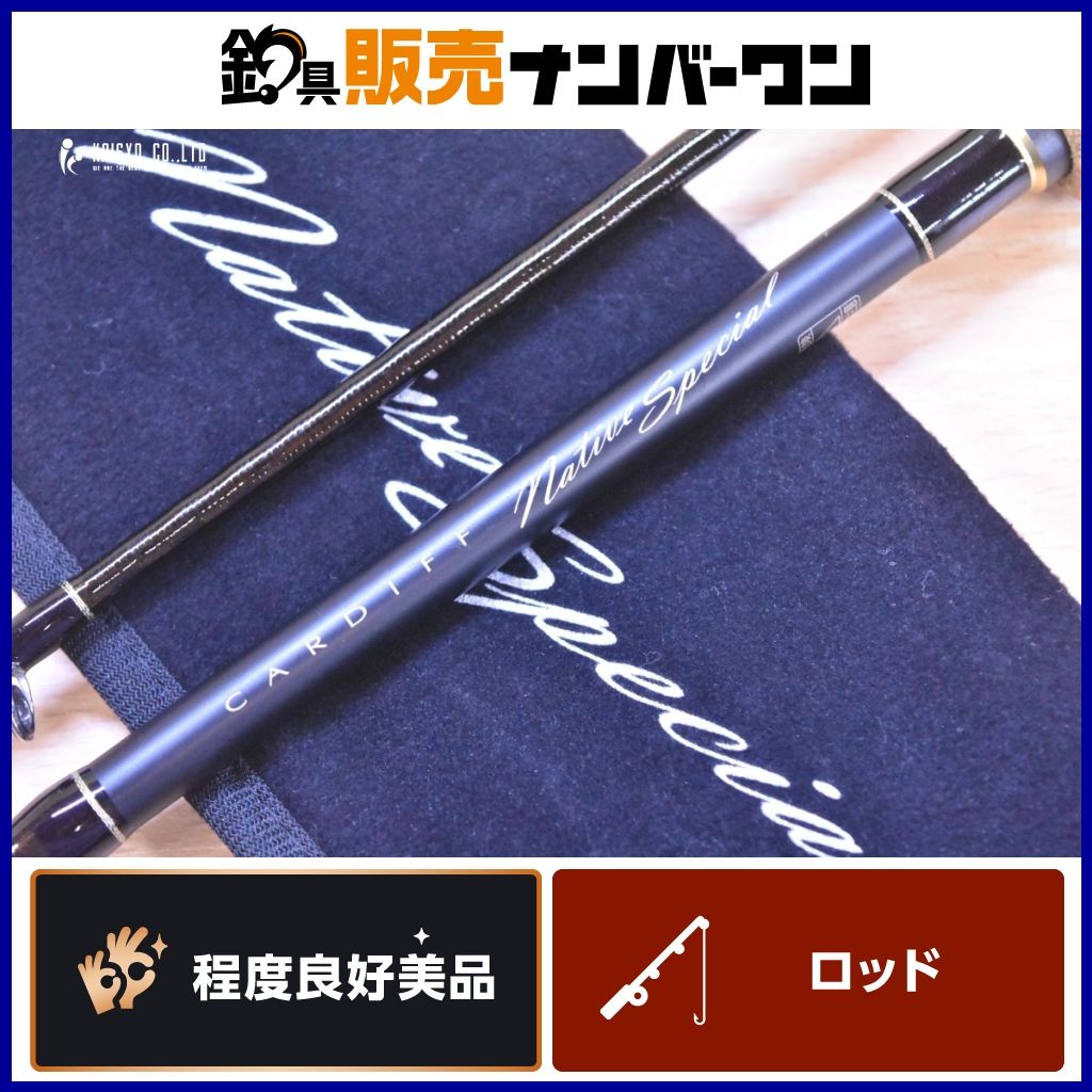 シマノ 20 カーディフ ネイティブスペシャル B83ML SHIMANO CARDIFF Native Special NS ベイトロッド 2ピース