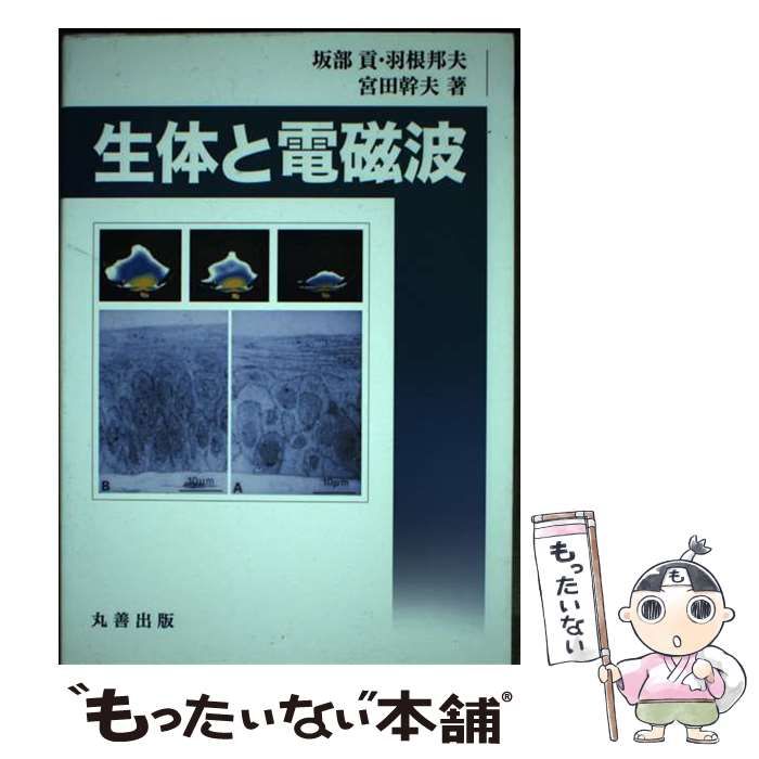 中古】 生体と電磁波 / 坂部貢 羽根邦夫 宮田幹夫、シュプリンガー