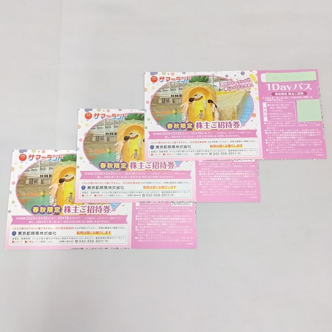 東京サマーランド 招待券 1Dayパス 9枚