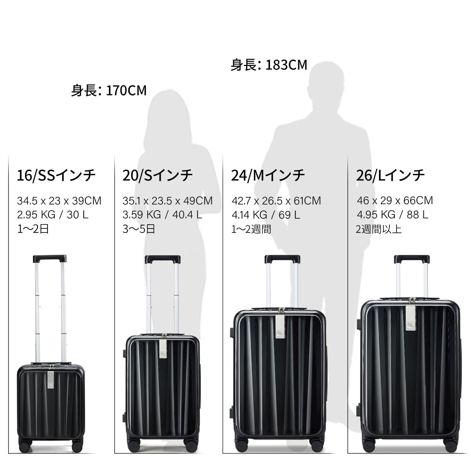 キャリーバッグ 海外