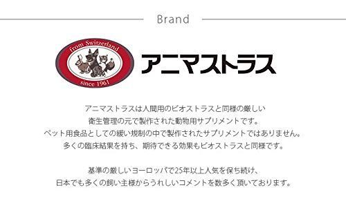 AnimaStrath アニマストラス