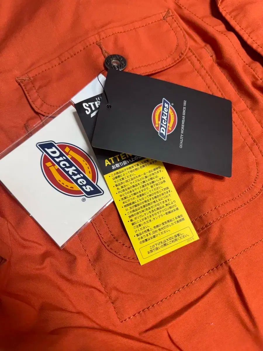 ディッキーズ ジャパン