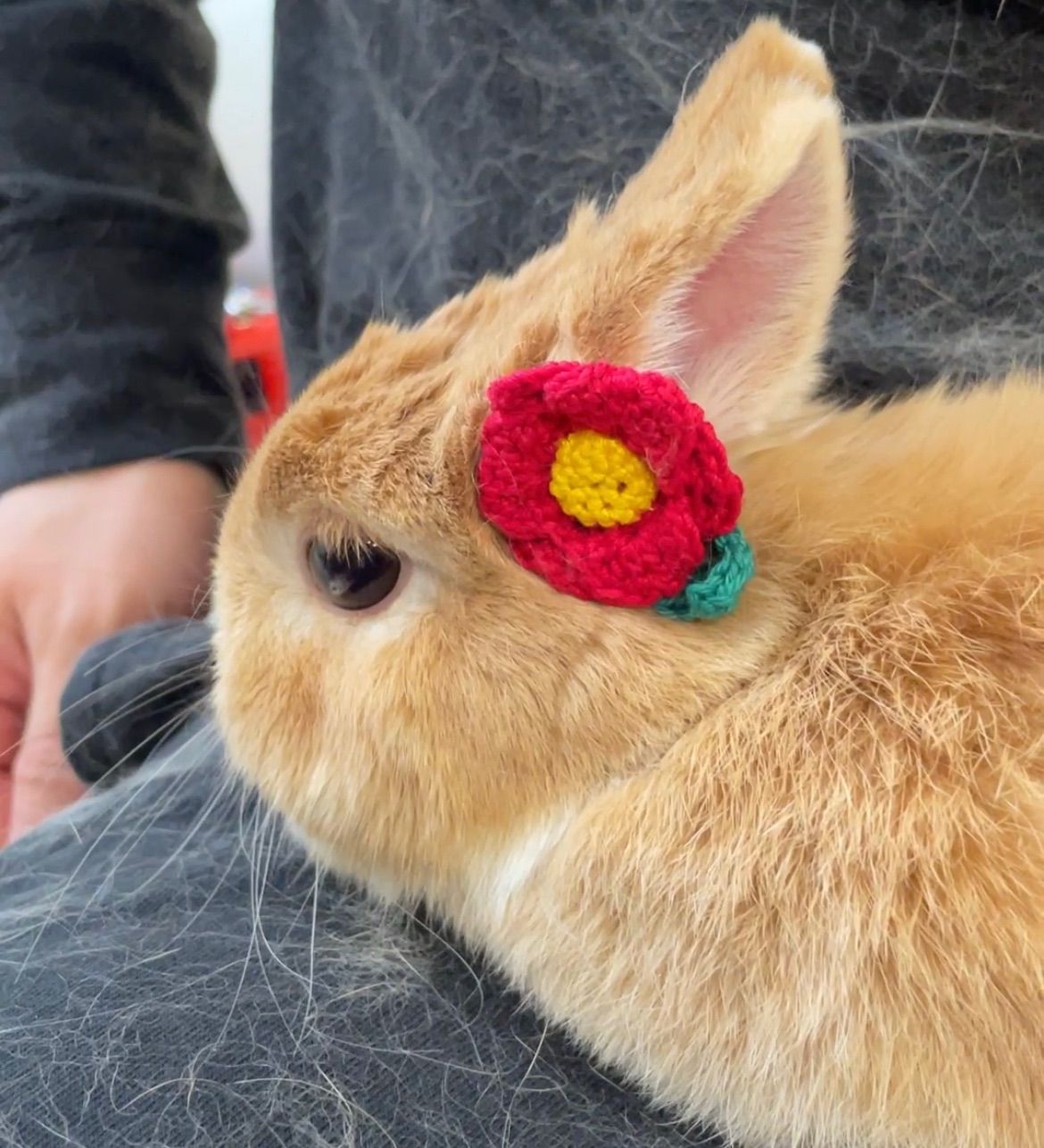 ニンジンうさぎ♡ハートとらねこ♡ベビーヘアクリップ　ヘアゴム ニンジンうさぎ♡ハートとらねこ♡ベビーヘアクリップヘアゴム