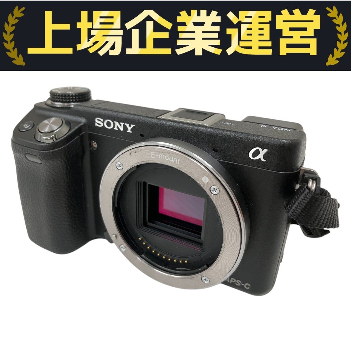 SONY NEX-6 ミラーレス一眼レフカメラ ボディ ソニー 中古