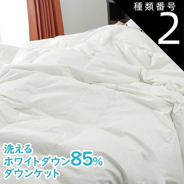 種類2:約170×210cm 肌掛け 羽毛布団 ダウンケット 洗える ホワイトダックダウン85% 羽毛ふとん 軽い 夏用 掛け布団 日本製 全5サイズ シングル セミダブル ダブル クイーン キング