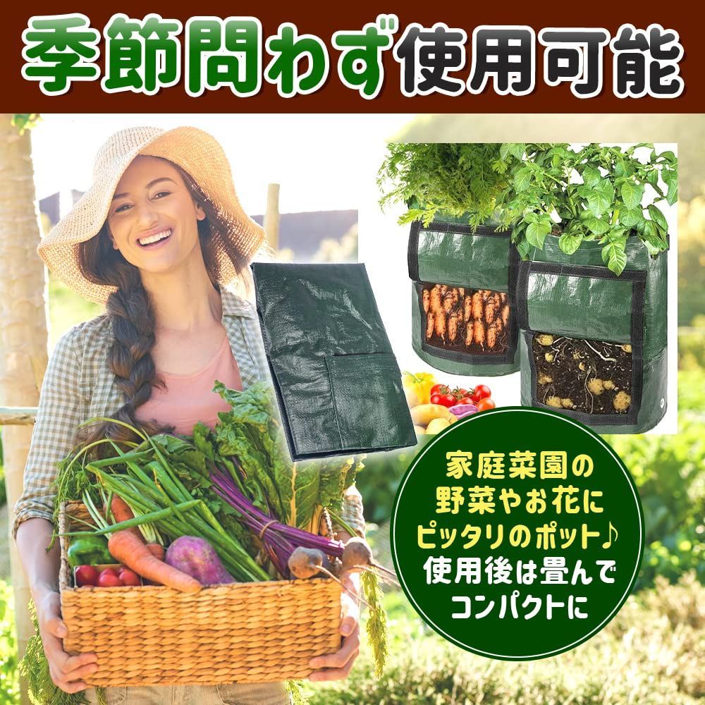 家庭菜園セット この時期ピッタリ - 植物