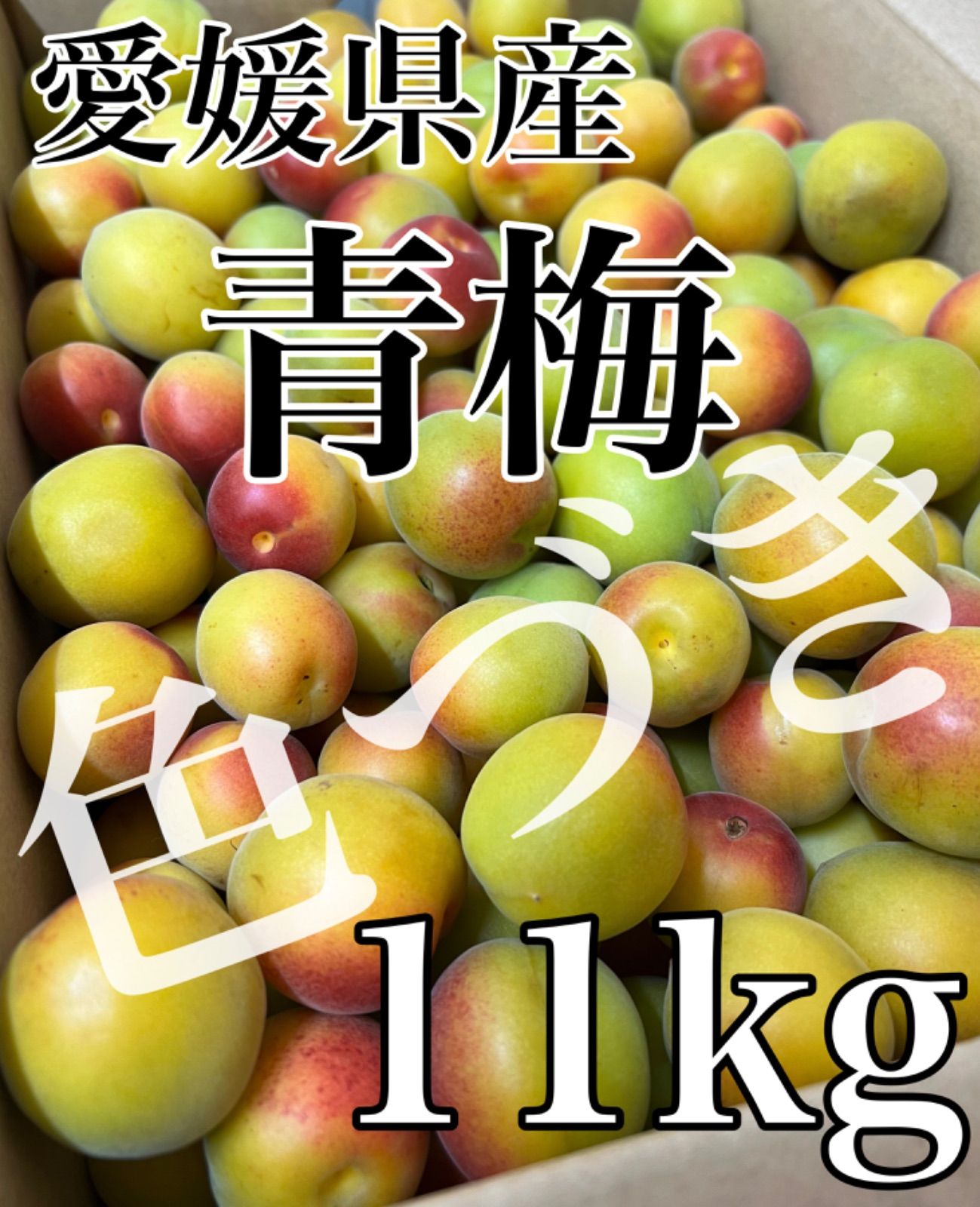 愛媛県産　色づき【青梅】中〜大玉　梅のみ11kg！！