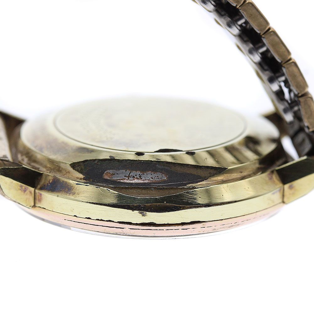 おらいさん苗 ダニエルさん苗 原種 ザラゴーザ spノバ 2個セット 札付き