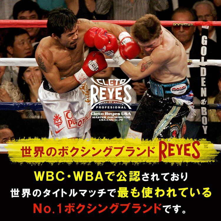 総合格闘技 MMA