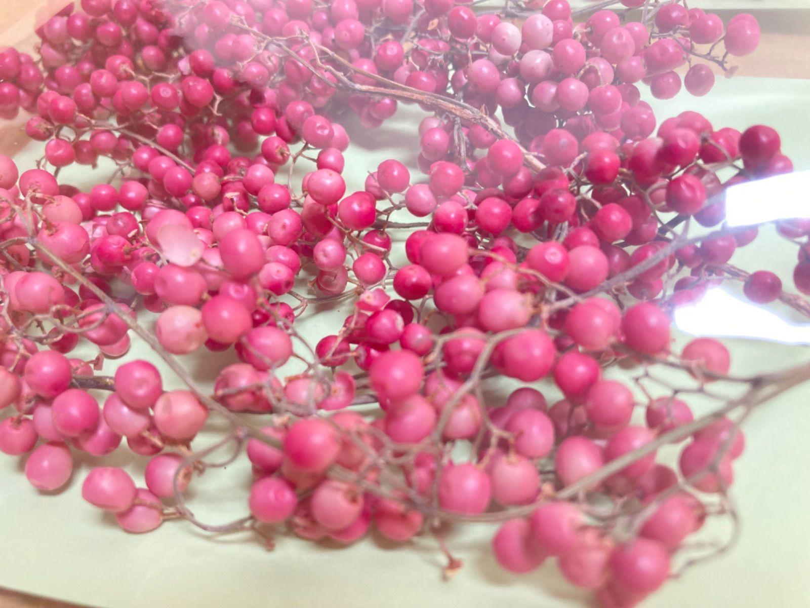 ドライフラワー ナチュラル ピンク ペッパーベリー 50g 小分け