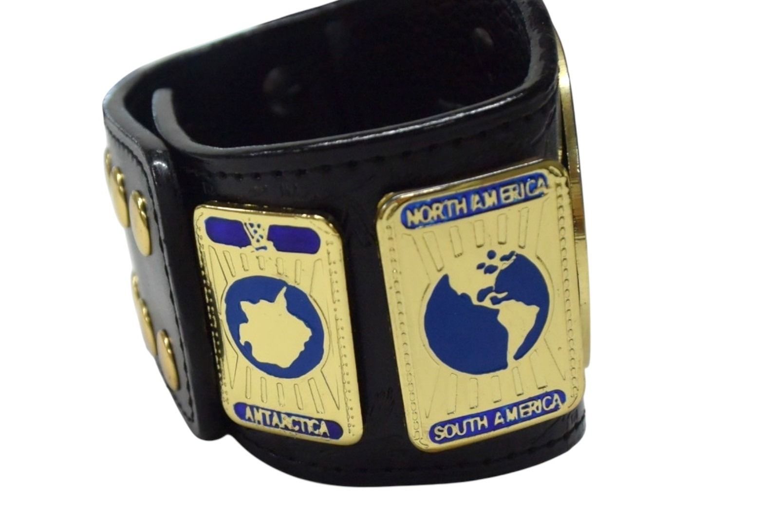 極美品 WWE ワールドレスリングエンターテインメント INTERCONTINENTAL  