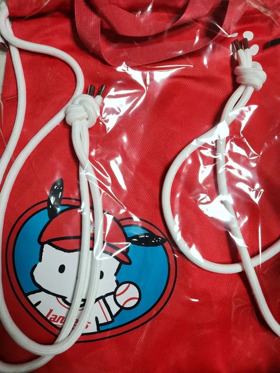 LANDERS x ポチャコ ラゲッジバッグ