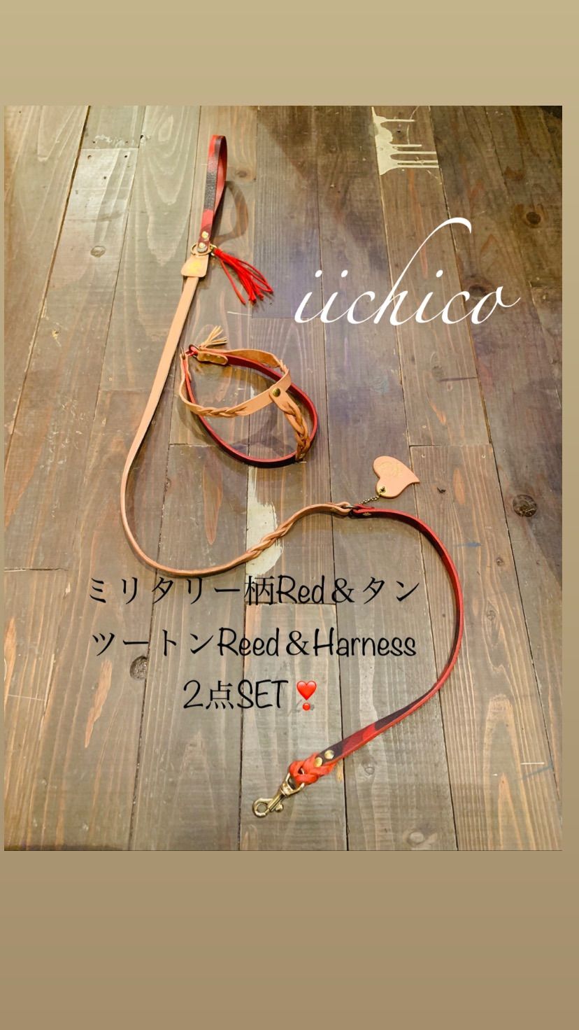 リード＆ハーネス2点SET❗️レッドミニタリー
