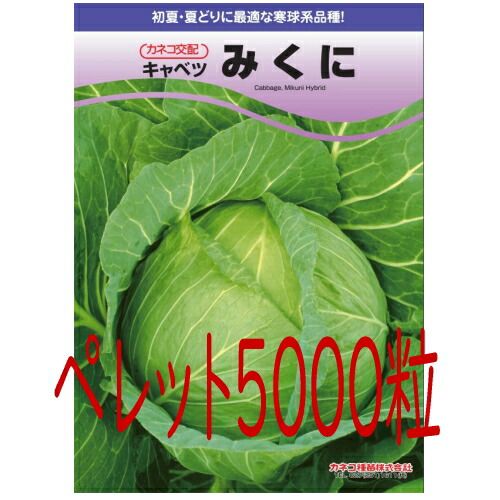 入荷次第出荷 カネコ種苗 みくに キャベツ ペレット５０００粒