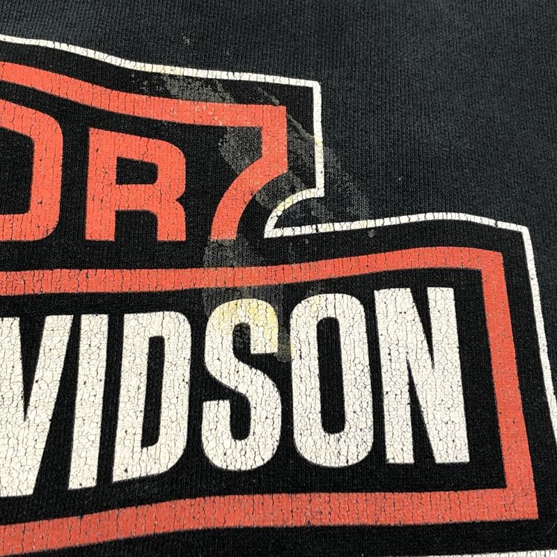 ハーレーダビッドソン 10