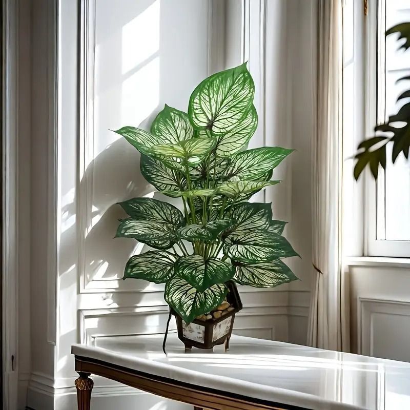 観葉植物
