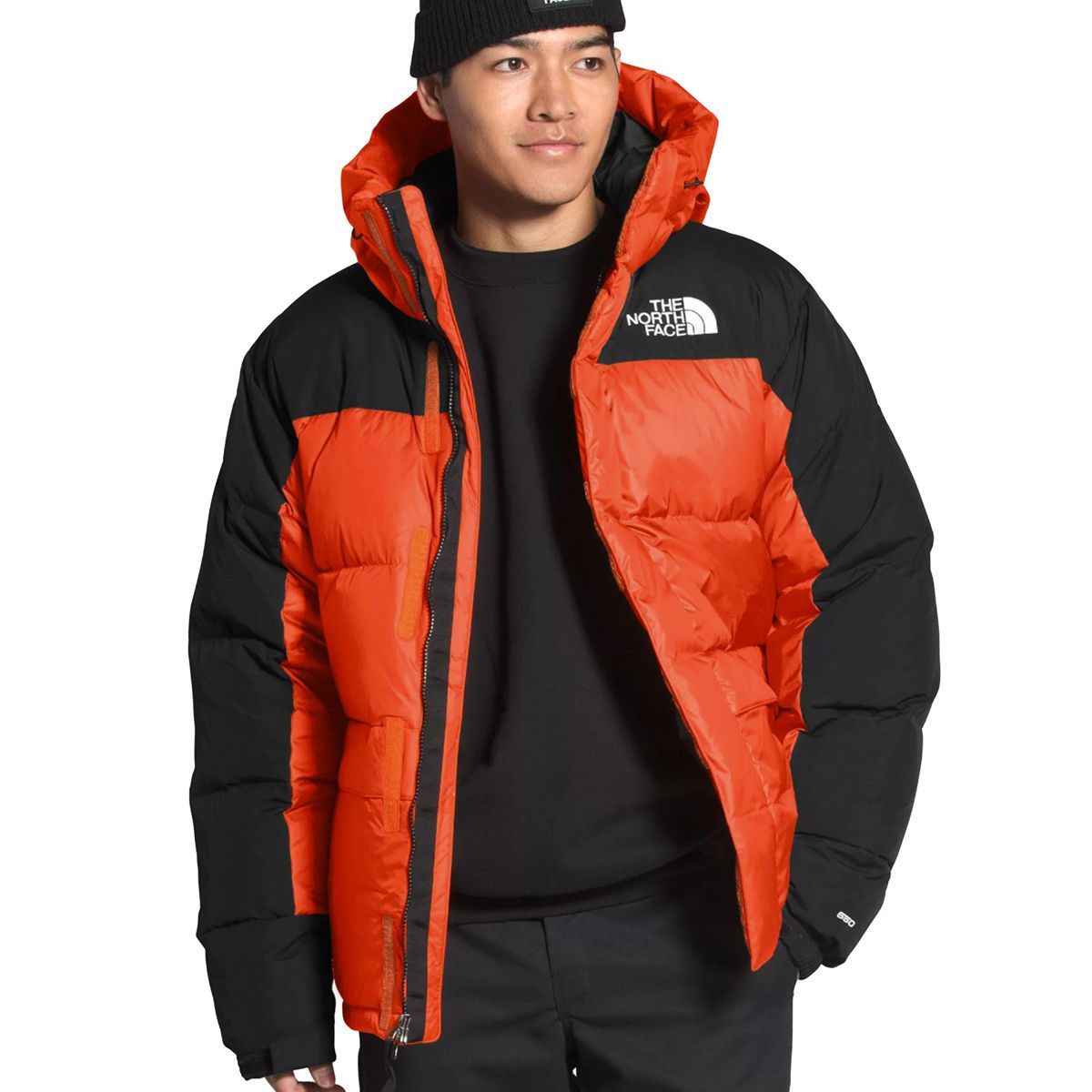 ザ ノースフェイス ダウンジャケット メンズ The North Face HIMALAYAN DOWN PARKA JACKET ヒマラヤンダウン  パーカー ジャケット 海外限定 550フィル DWR(撥水加工) - メルカリ