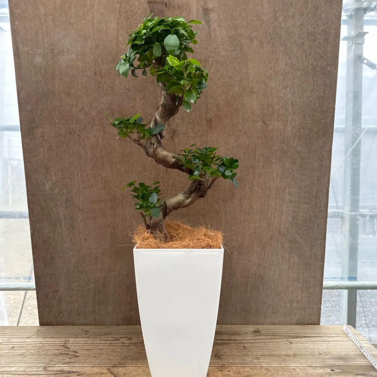 植木鉢 Amazon.co.jp: Kaiju Plant 怪獣ポットEco4.5 スリット鉢 4.5号 麦わら