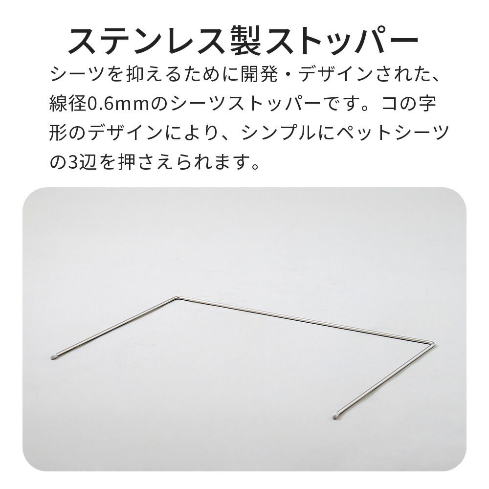 本体