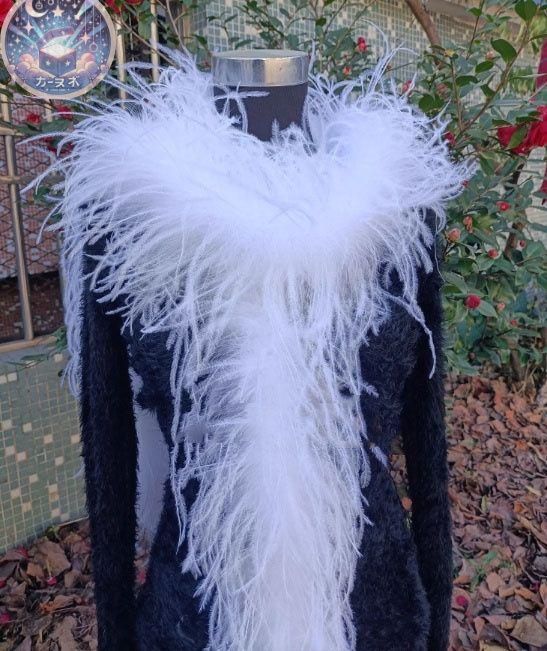 ♥ オーストリッチフロート 羽根 社交ダンス DIY オーダーメイド WWW_USTAUSTRALIA_COM_AU