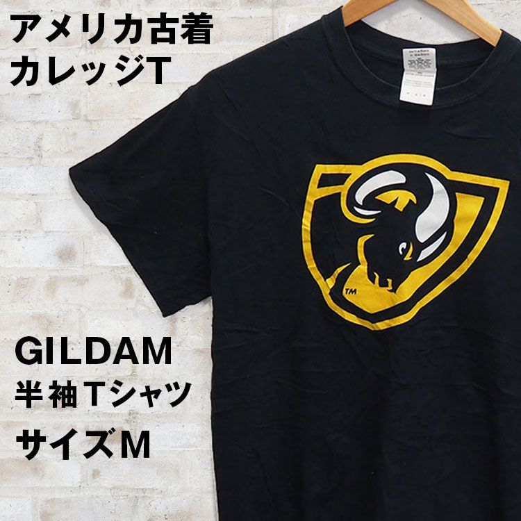(アメリカ古着)GILDAN バージニアコモンウェルス大学(VCU)のカレッジTシャツM