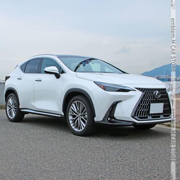 LEXUS