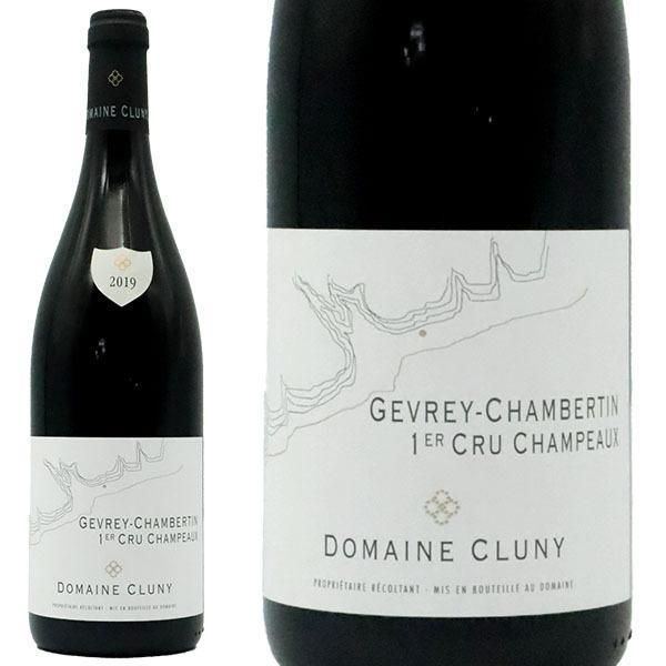 ジュヴレ シャンベルタン 1er シャンポー 2019年 オリヴィエ バーンスタイン（赤ワイン ブルゴーニュ） ジュヴレ シャンベルタン 1erC レ シャンポー 2019 ドメーヌ