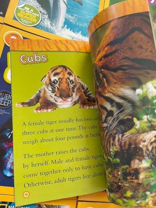 【新品海外購入]37冊NationalGeographickids level2 Amazon | National Geographic Kids Readers: Animal Homes (Pre