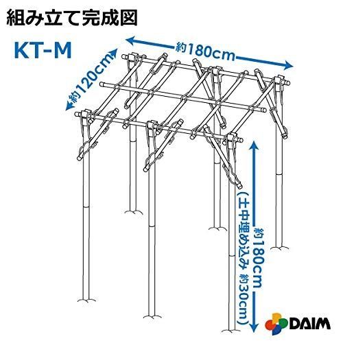 キウイ棚 園芸