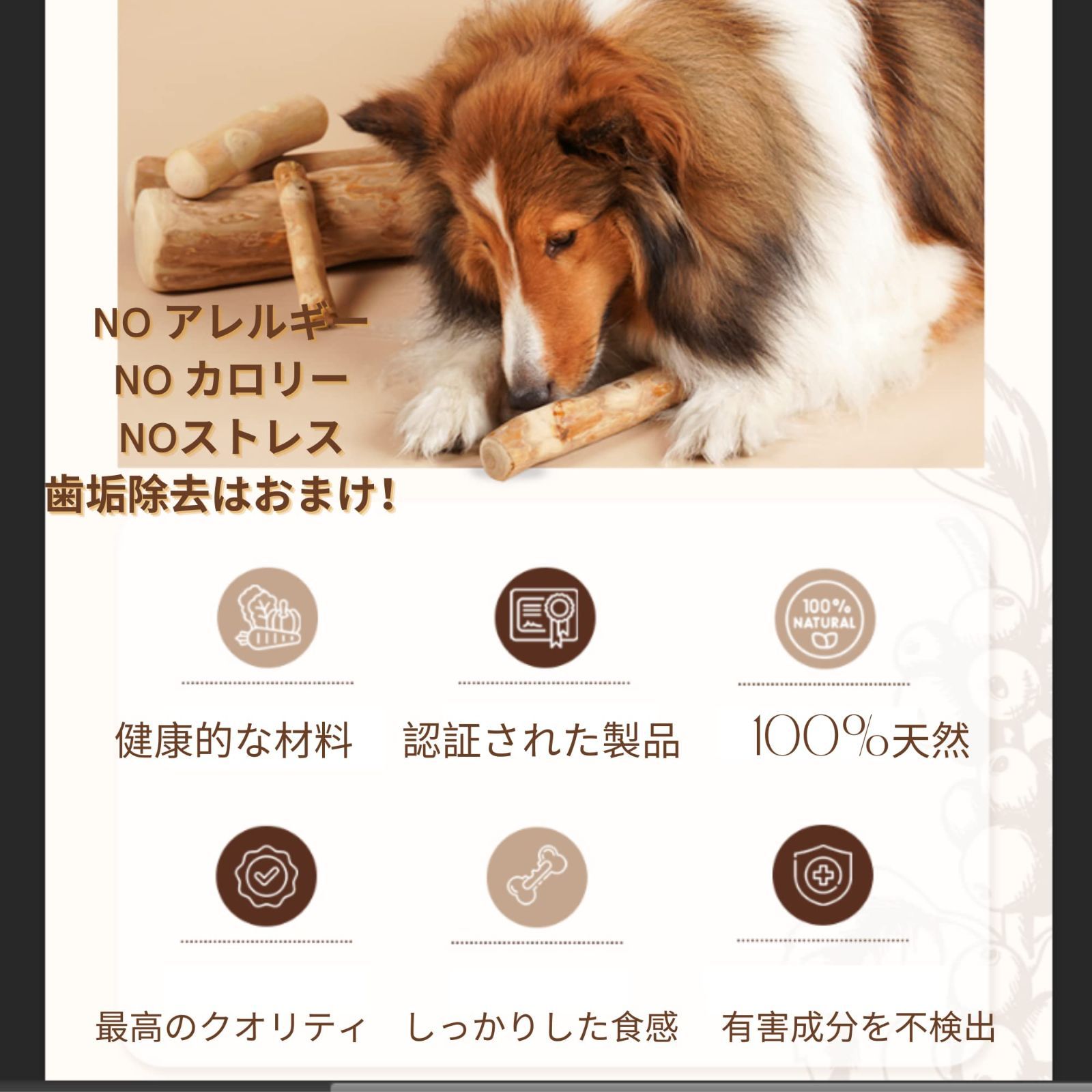 犬噛むおもちゃ 犬おもちゃ (S) デンタルケア 犬ガム 小型犬 100%天然コーヒー木 (1ea) BelloPet