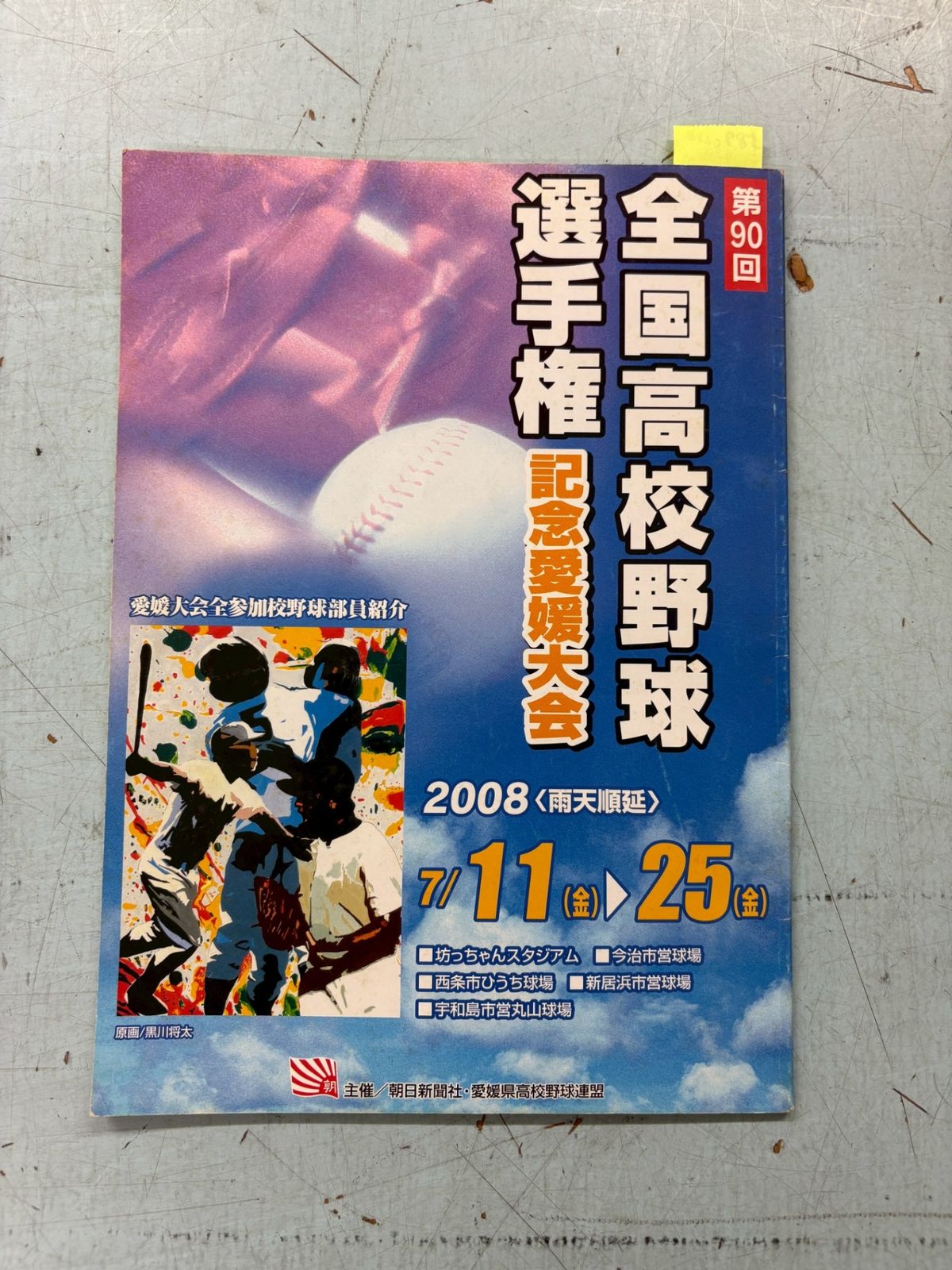 2008年第90回全国高校野球選手権記念 愛媛大会 愛媛大会全参加校