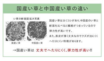 新生活