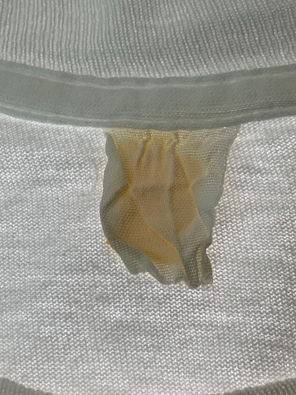 ☀ 品