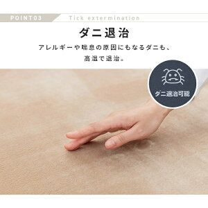 公式 ホットカーペット 4畳 195×290 TEKNOS タイマー付き 電気カーペット コンパクト 温度調節 ダニ退治 長方形 TWA-4000B WWW_KANDAIZUMI_COM