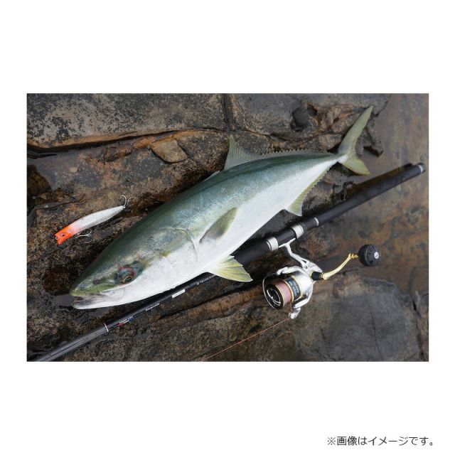 出品12/17迄トランスセンデンス エンピナード91S Rev.2