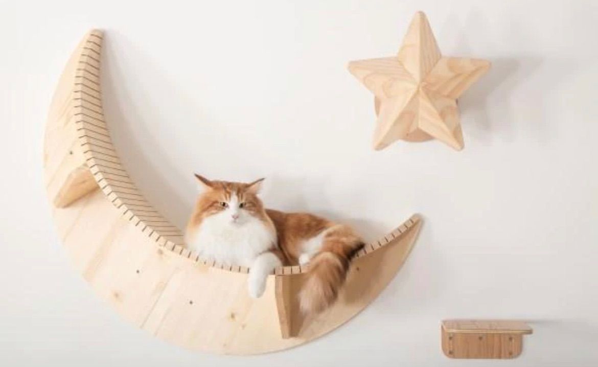 キャットステップ 星型