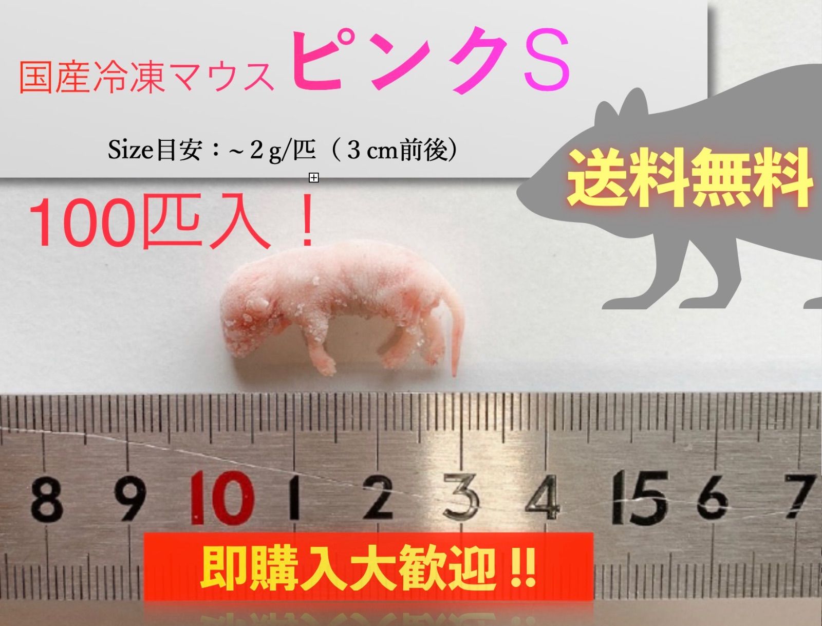 送料無料】国産冷凍ピンクマウスS 100匹入@即購入OK！北海道・沖縄の方 