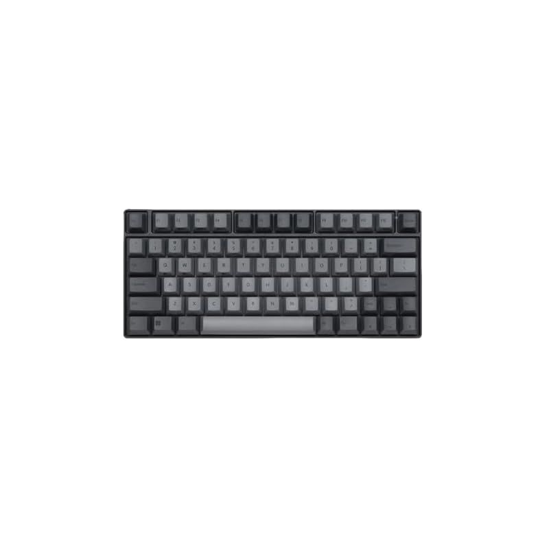 REALFORCE RC1 C1HK13 ブラック 英語配列 30g 【公式通販】