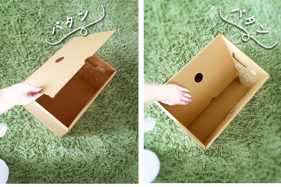 ダンボール家具 驚く強度