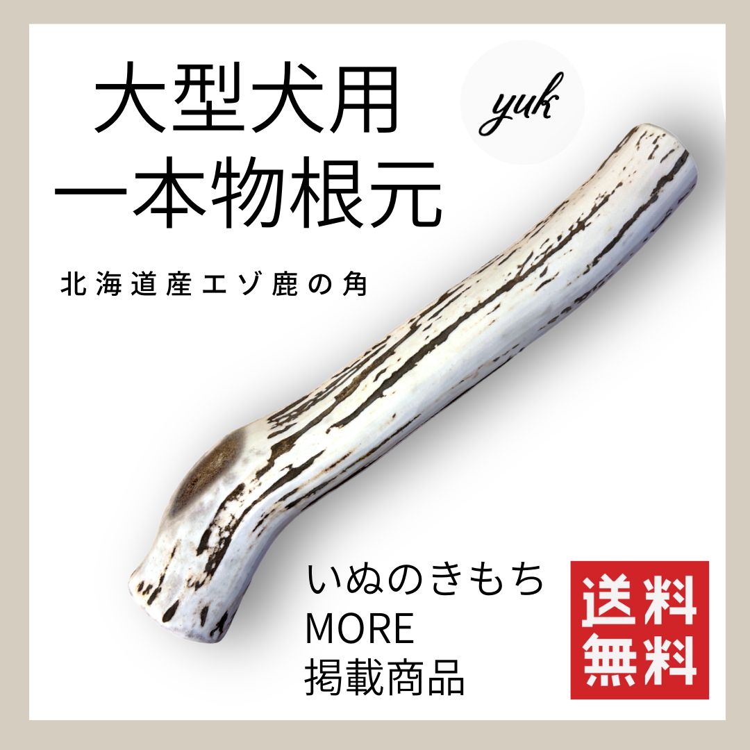 太い鹿の角】小〜中型犬用 一本物 根元 北海道産鹿の