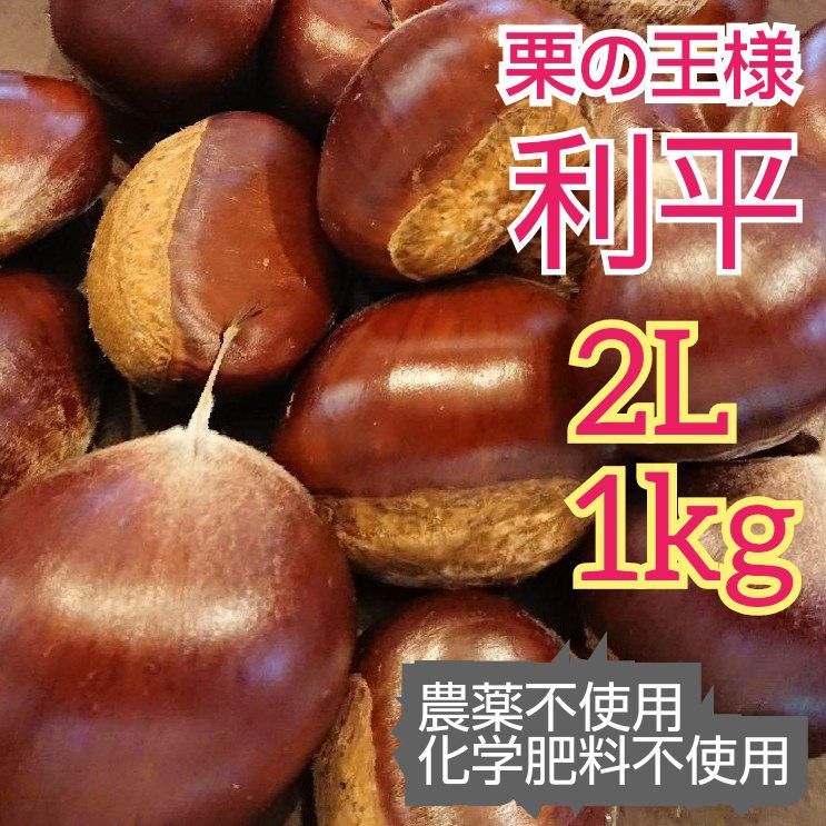 熊本県産利平栗4kg農薬不使用