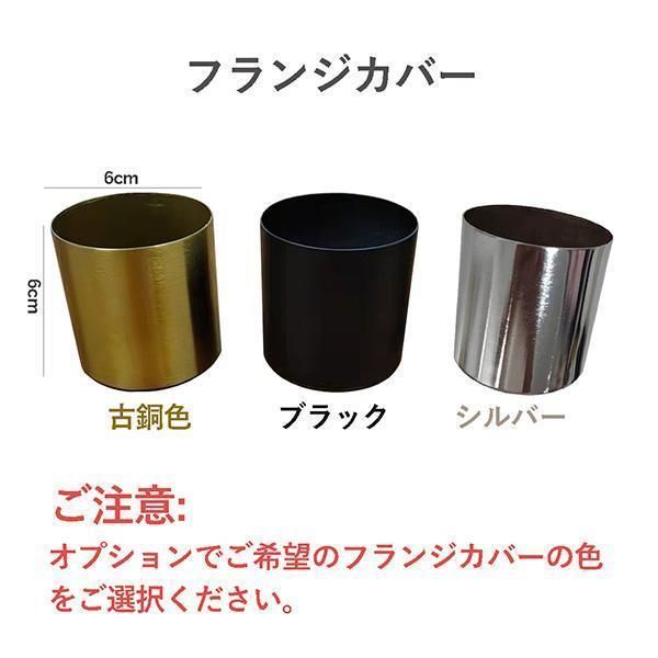 洋室 玄関