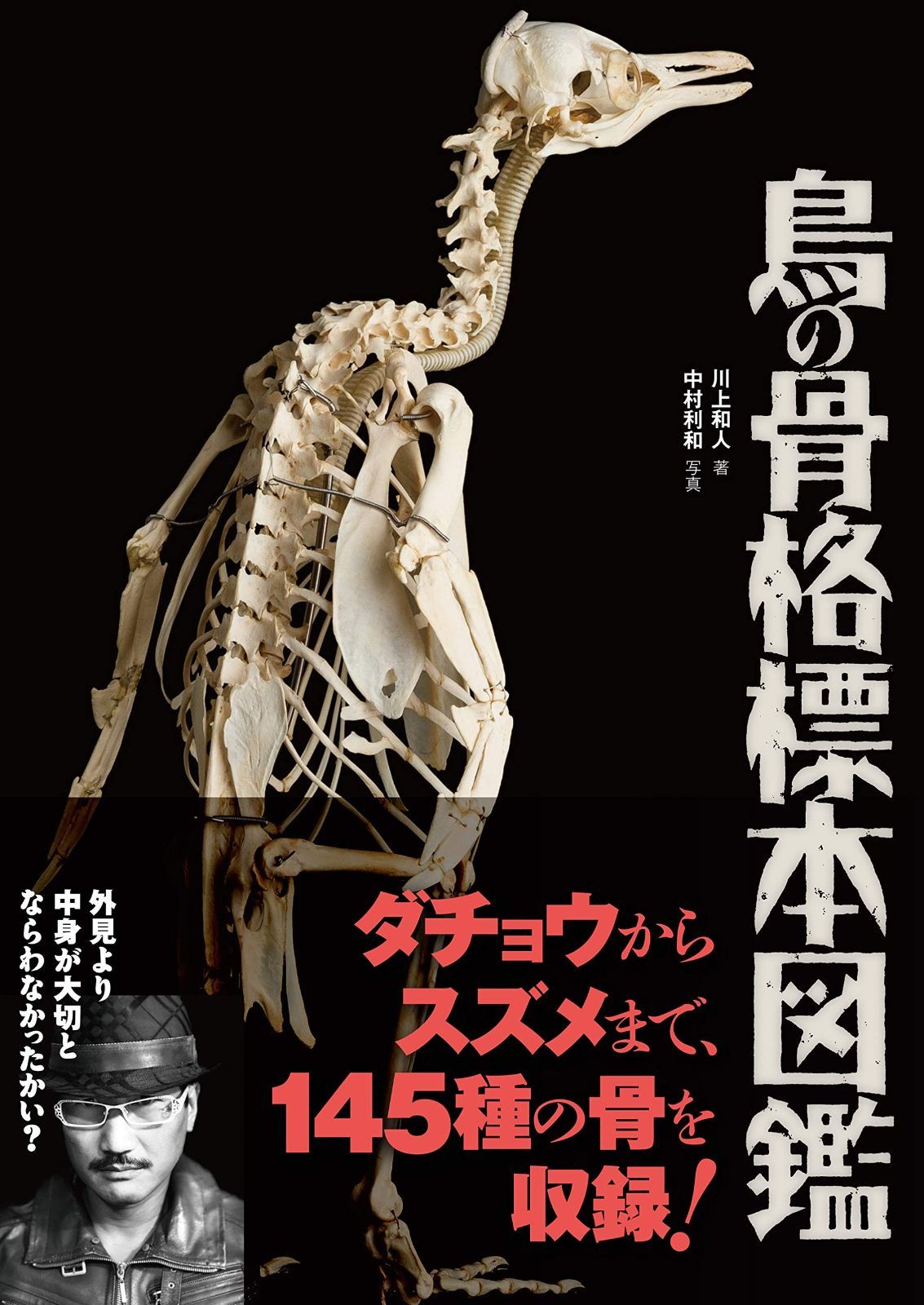 鳥の標本 鳥の骨格標本図鑑 (BIRDER SPECIAL) 【公式通販】