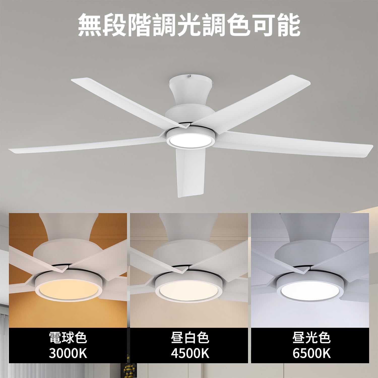 節電-5年保証】TALOYA シーリングファンライト 調光 調色 12畳 LED天井 