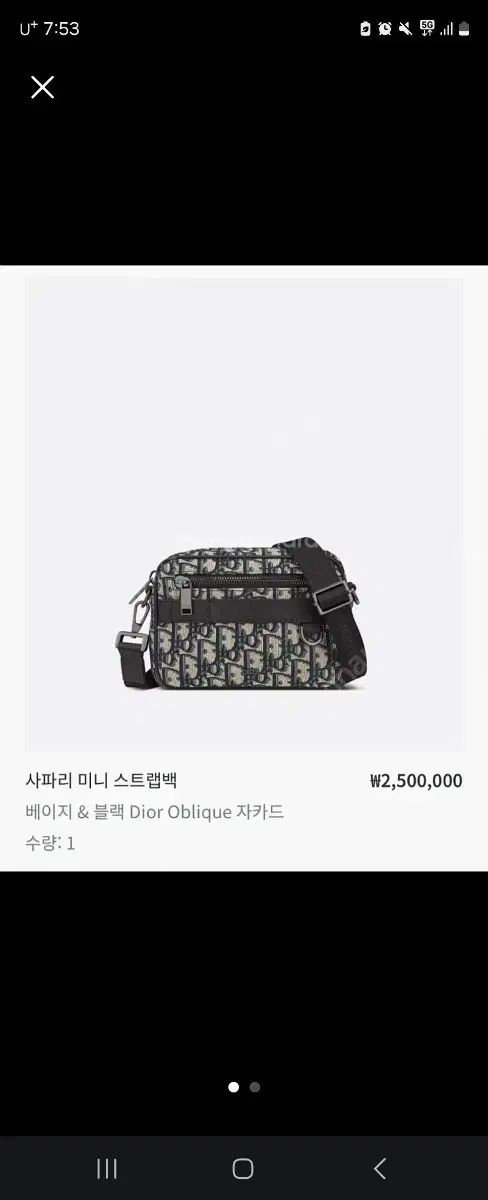 OS Dior ディオール バッグ メッセンジャーバッグ オブリーク ストラップ ファスナー