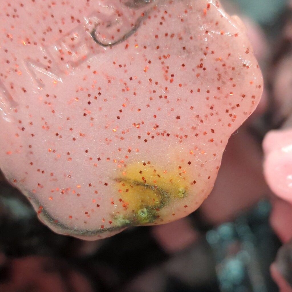 MONSTOCK モンストック 天地の有相にお座す方々の書 窯山甲