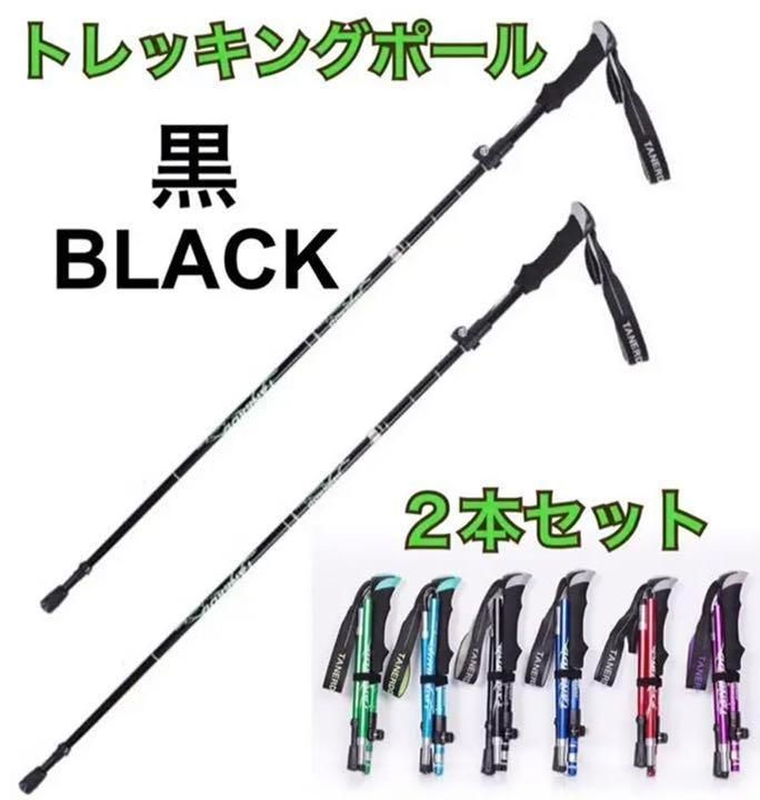 新品未使用国内正規品BURTON BLACK かすか DIAMOND POLESサイズL
