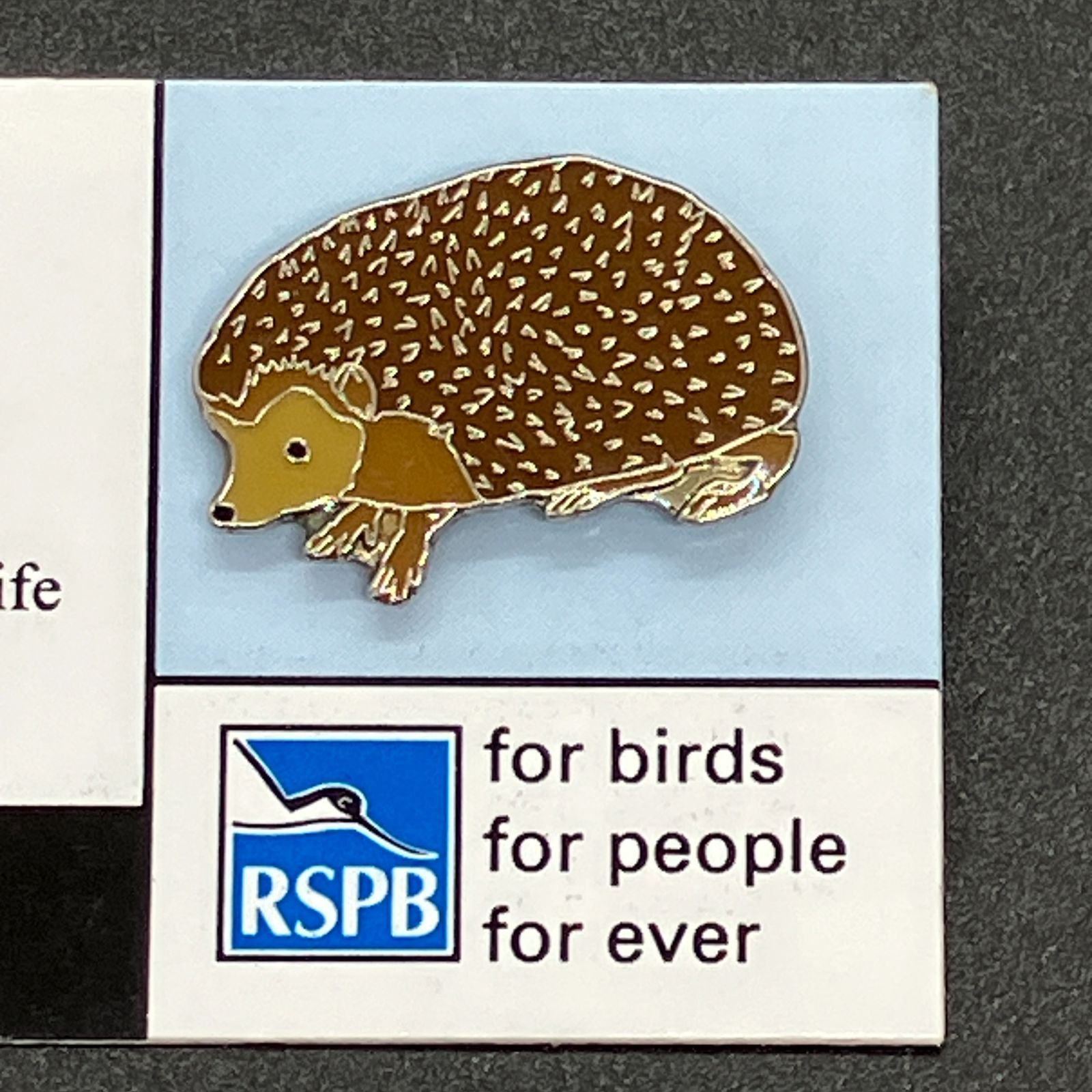 ハリネズミ　ピンバッチ 英国 ブリティシュ ワイルドライフ 『 ハリネズミ （ヘッジホッグ