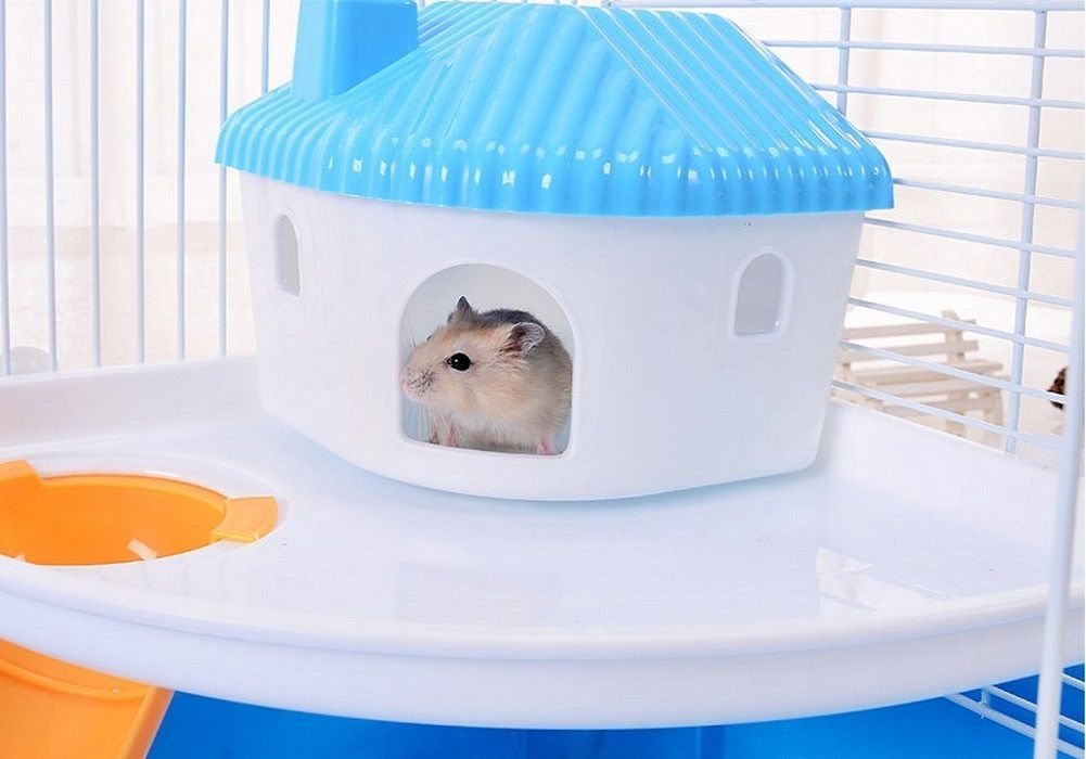 ハムスター ハムスターの家 ハムスターハウス ハムスターゲージ Amazon.co.jp: 木製 飼育ケージ ハムスター ケージ 50 x 30 x